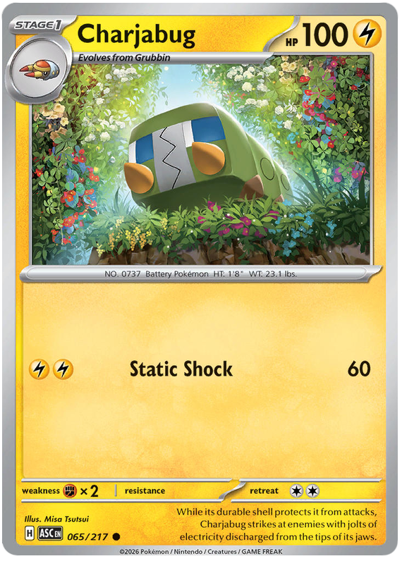 065.Charjabug.ASC.Common