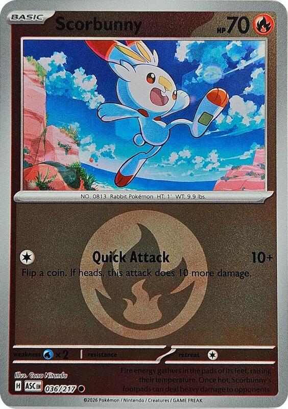 036.Scorbunny.ASC.Common.Reverse.Holo