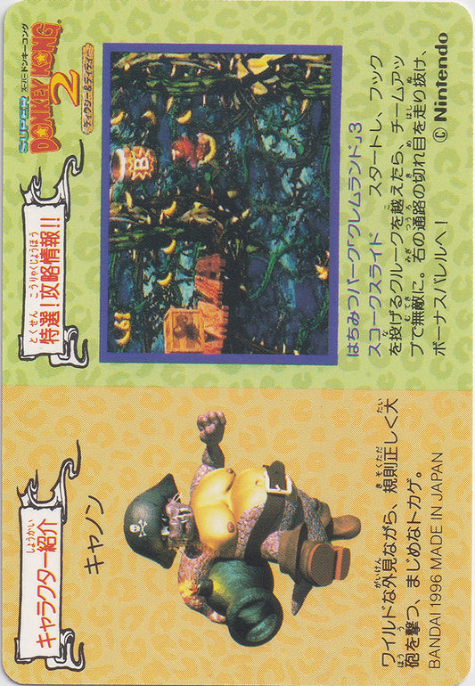 064.DKCPart.2.Dixie.Kong