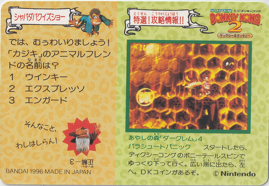 072.DKCPart.2.Funky.Kong