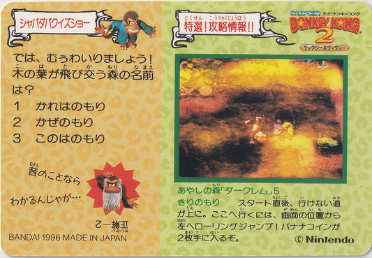 073.DKCPart.2.Swanky.Kong