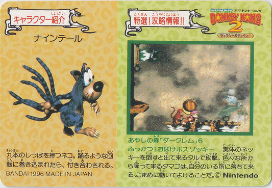 074.DKCPart.2.Squitter