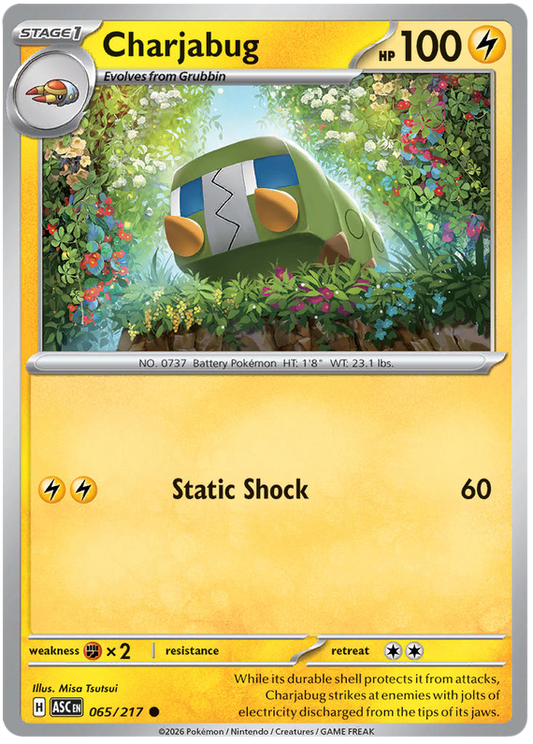 065.Charjabug.ASC.Common